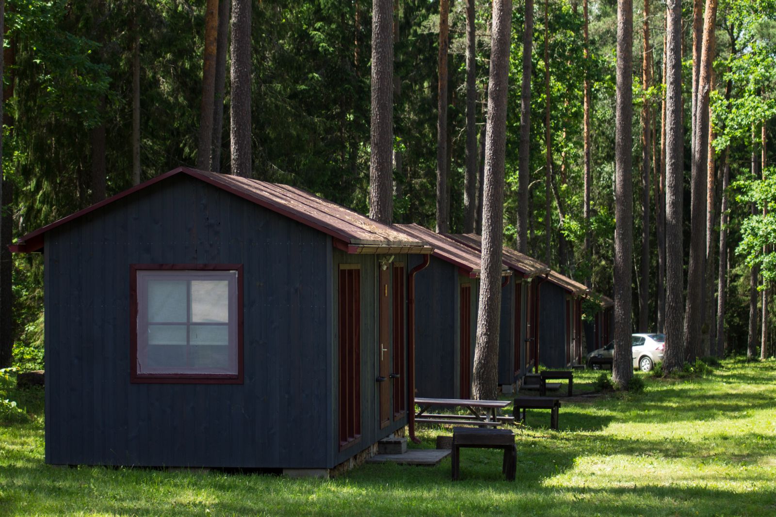 camping Ozolkalns near Gauja